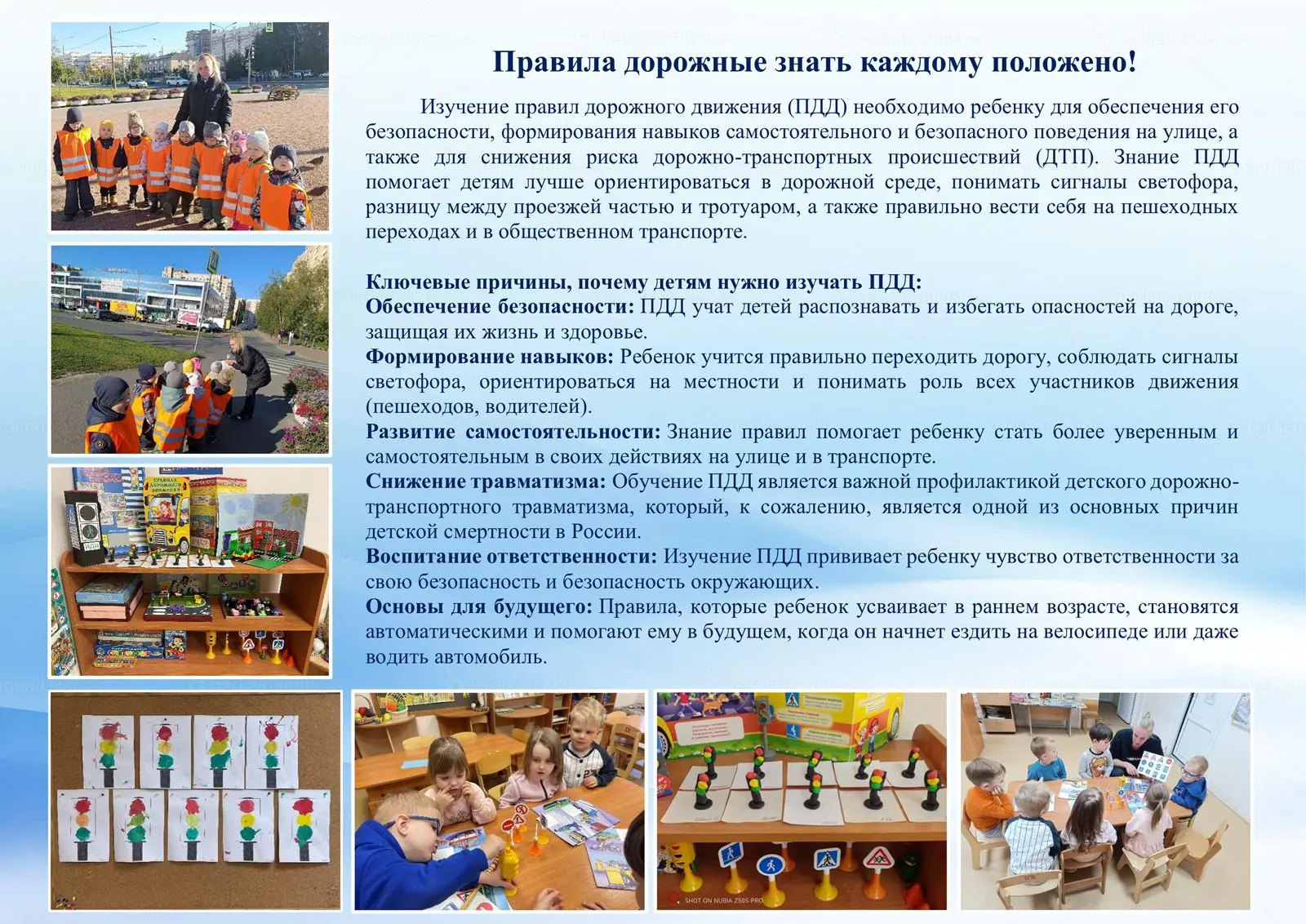 Правила дорожные знать каждому положено!